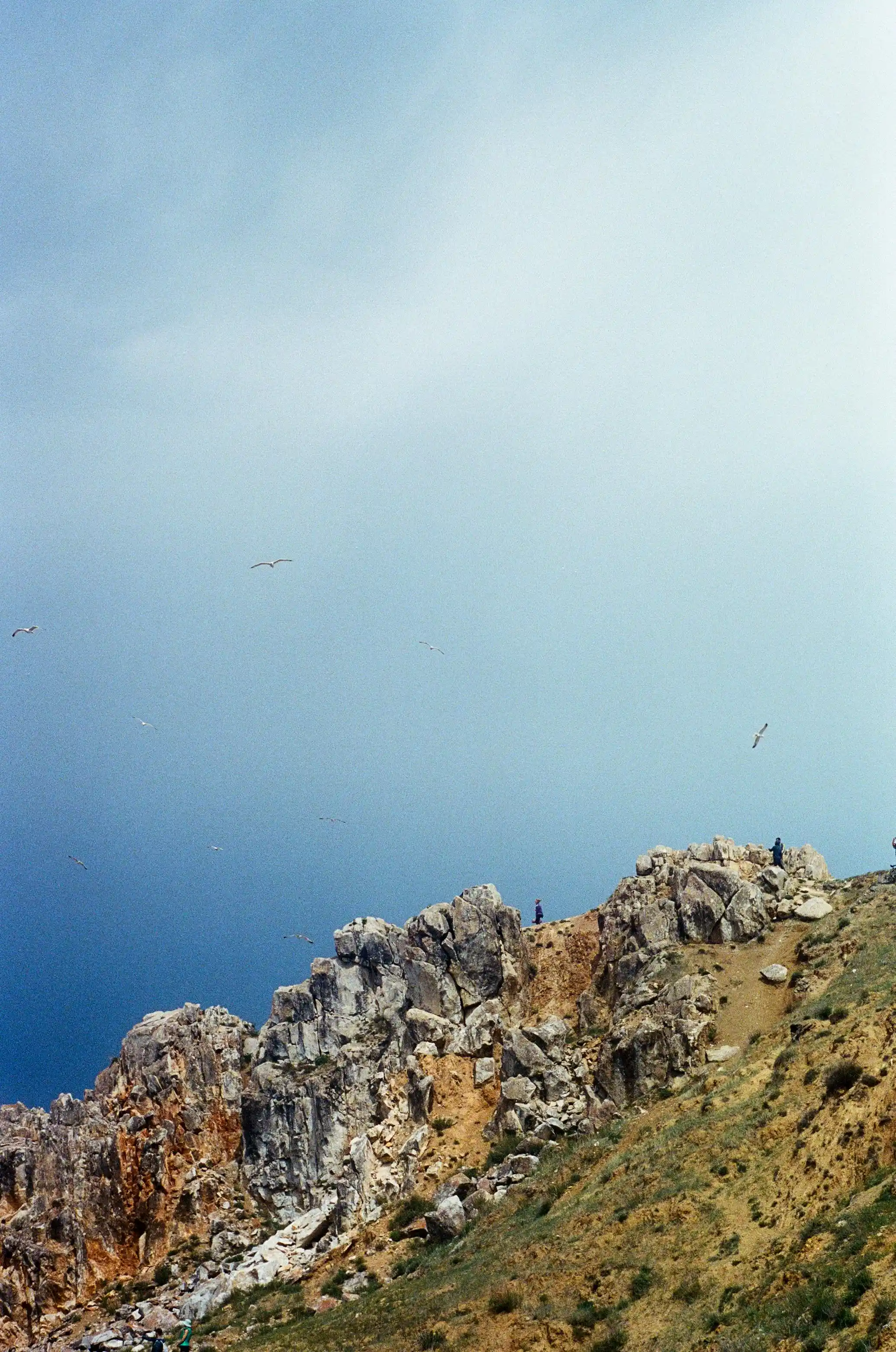 Socotra – ön som ser ut som en annan planet