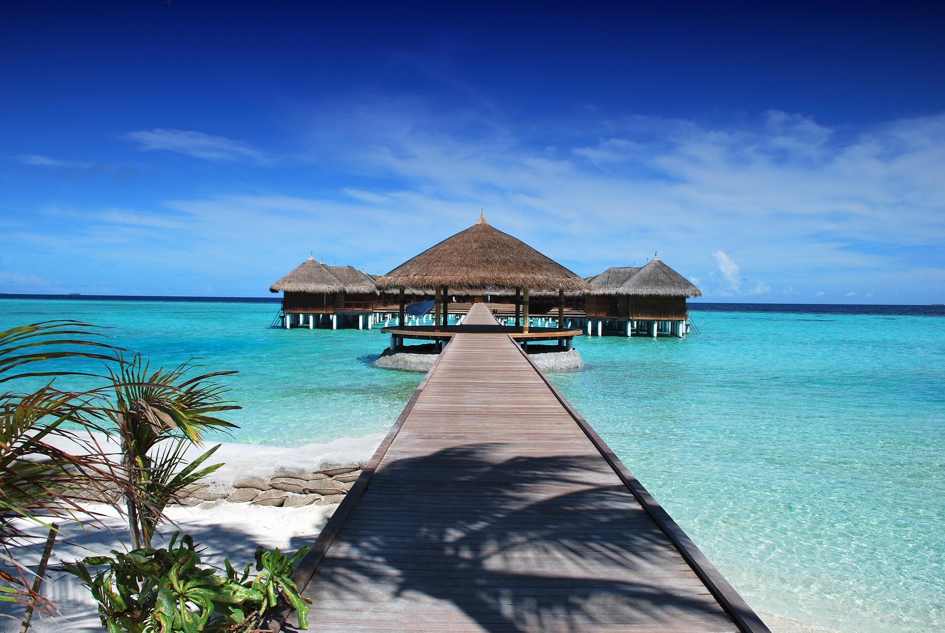 Zanzibar – kryddöarna i Indiska oceanen där historia, doft och hav möts