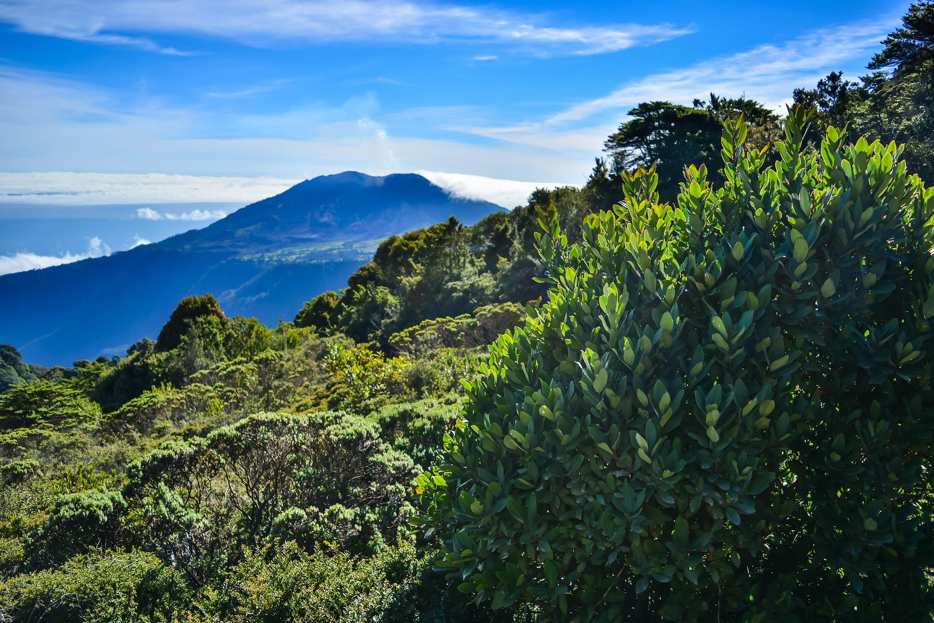 Costa Rica – där naturen styr rytmen och äventyret väntar runt varje hörn