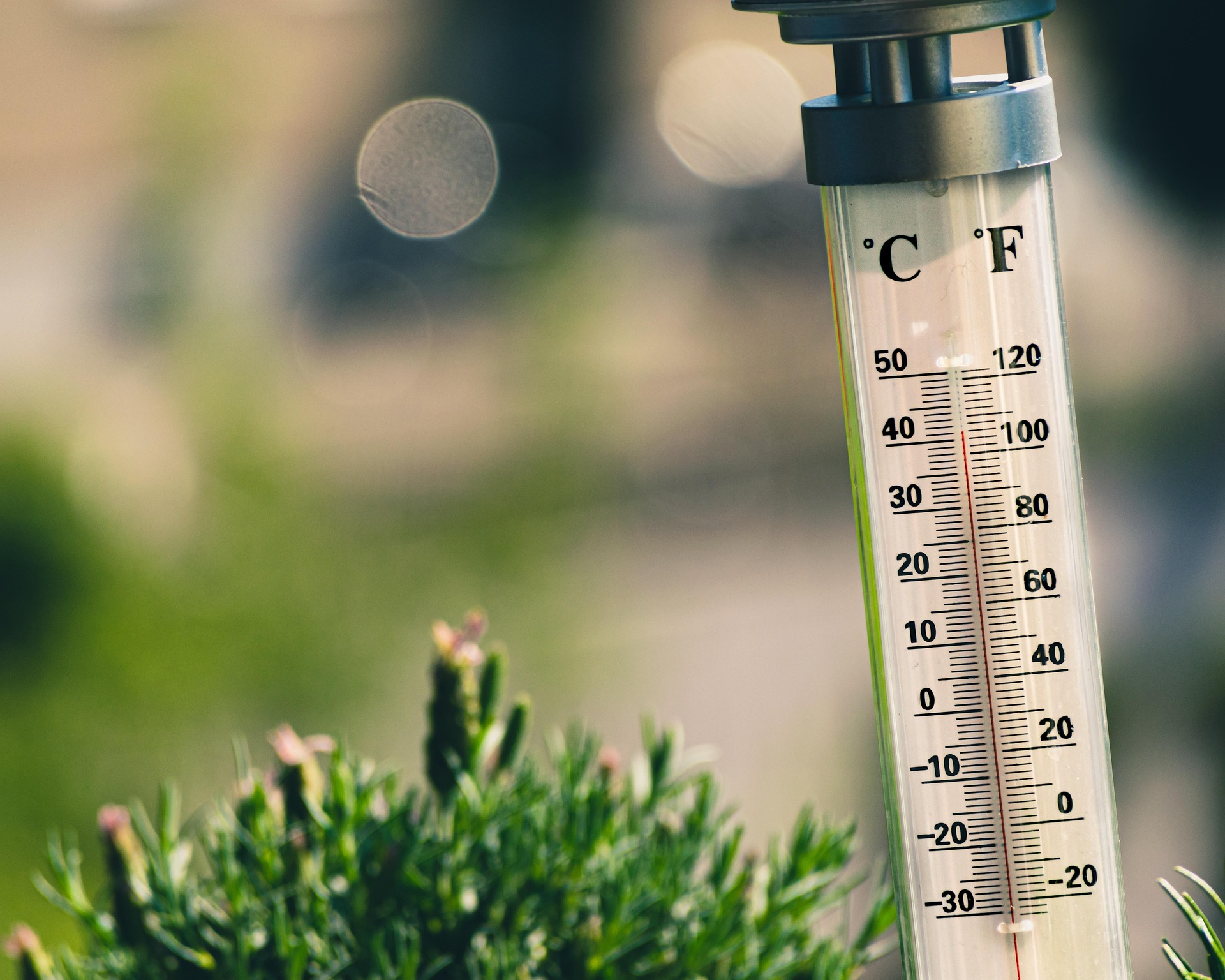 Extrem värme sveper över Europa – rekordtemperaturer i flera länder