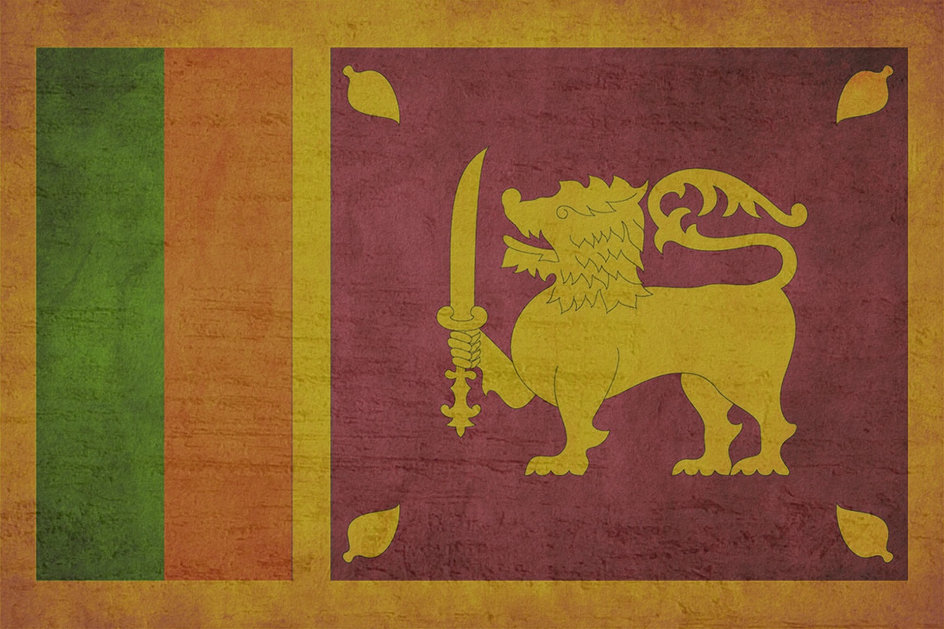 Sri Lanka paradisön där stränder, berg och äventyr möts