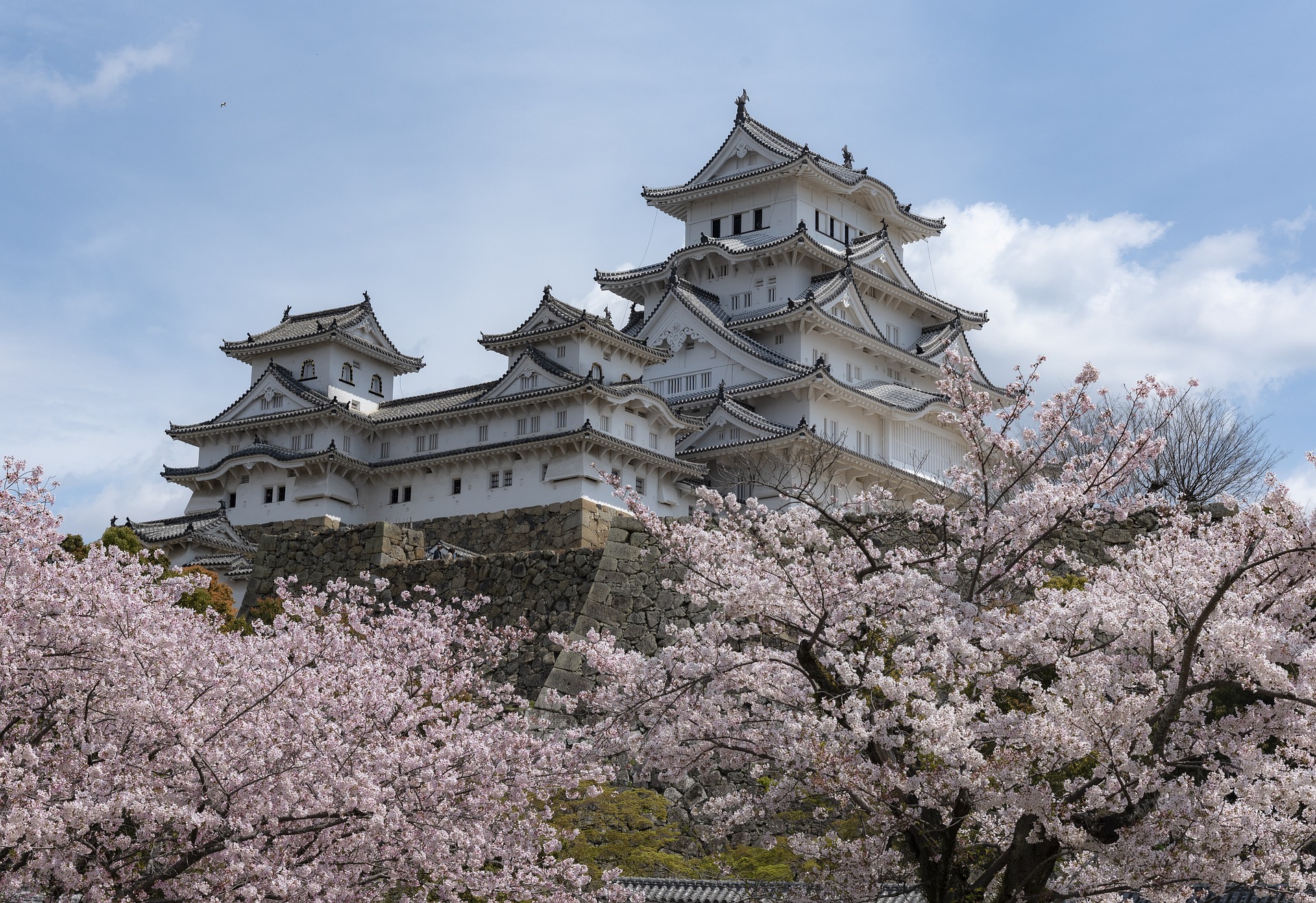 Maten du måste prova i Tokyo