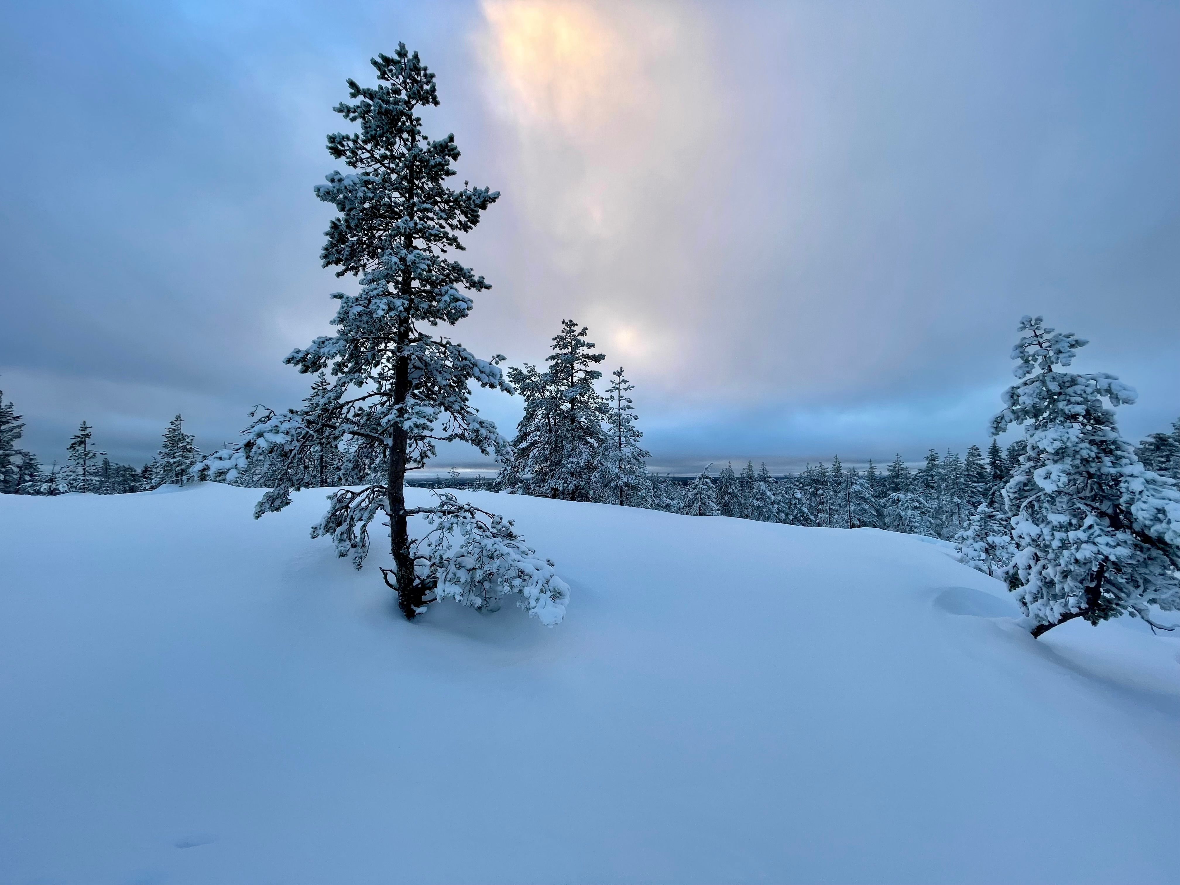 Topp 10 vinterresmål från magiska vinterlandskap till soliga paradis