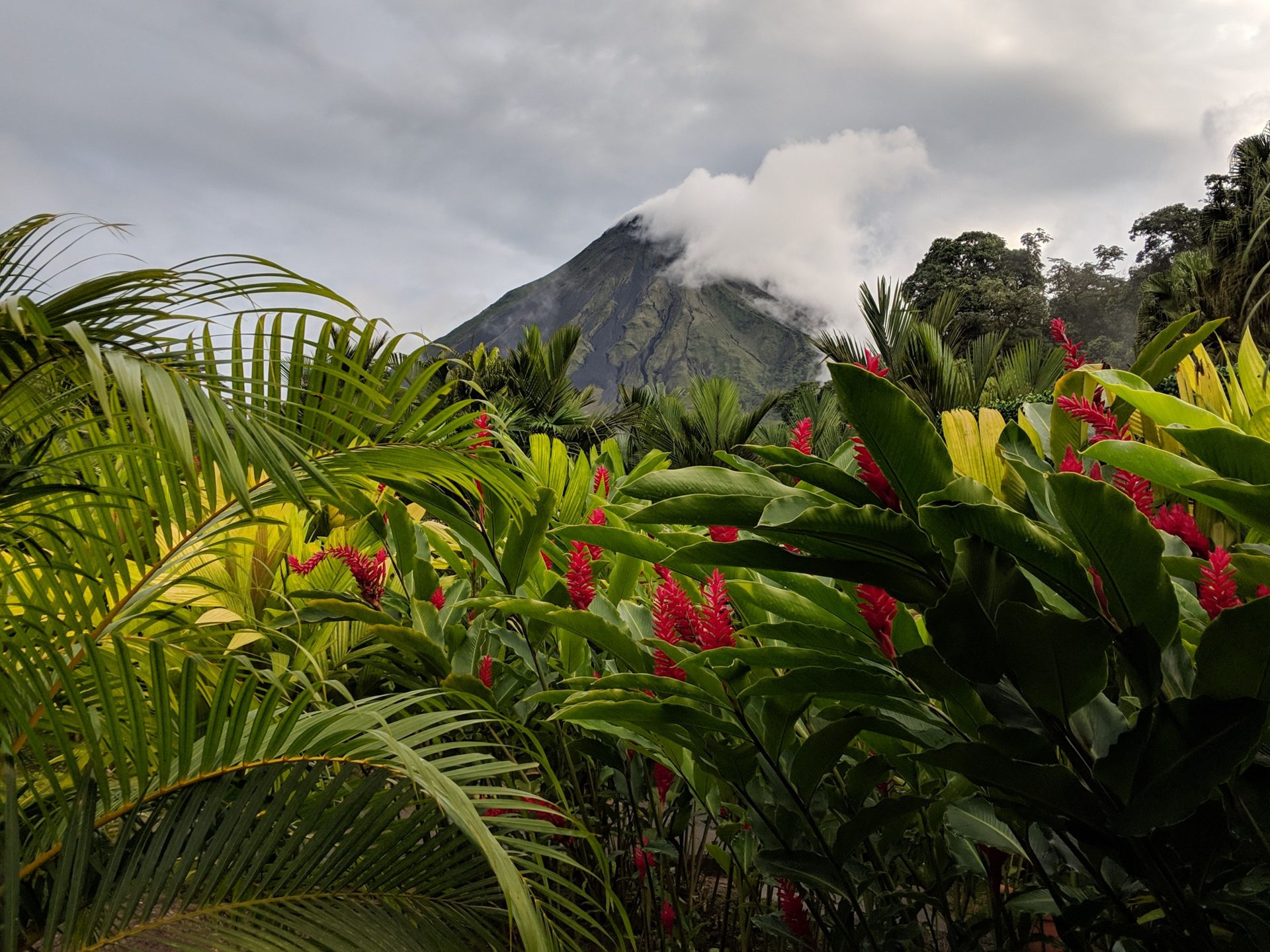 Costa Rica – där naturen styr rytmen och äventyret väntar runt varje hörn