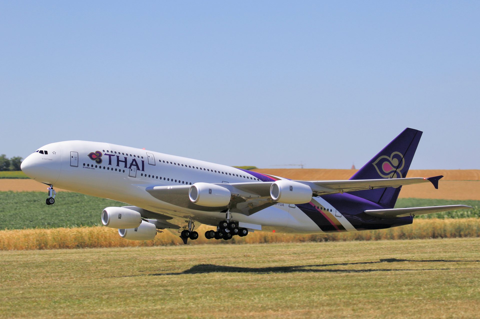 Thai Airways vd stoppas efter kaoset i Bangkok – tusentals väskor fastnade