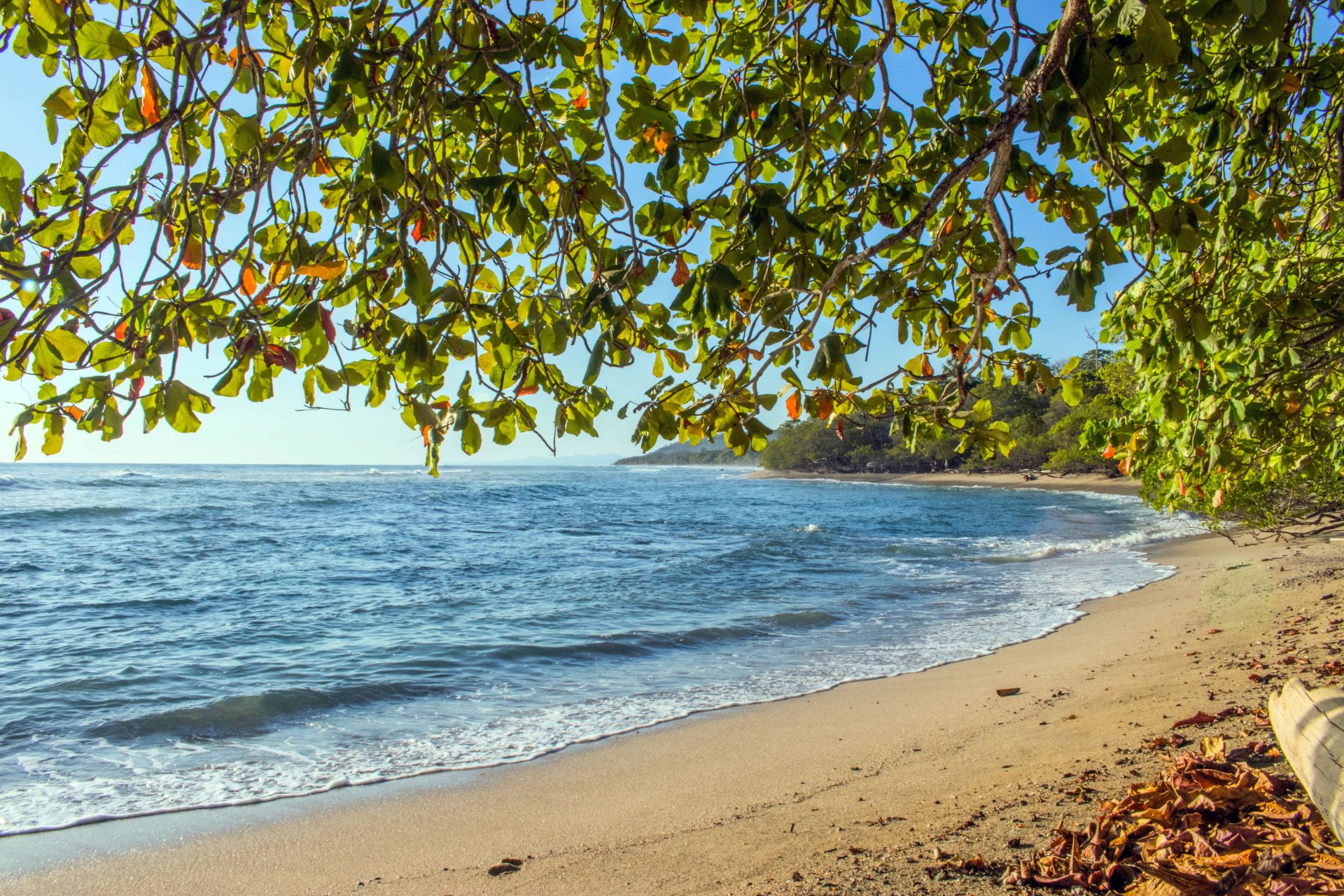 Costa Rica är världens vänligaste land för turister 2026 – här är varför resenärerna älskar landet