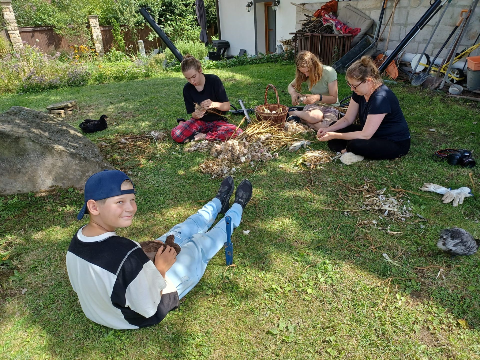 Semestertips: Volontärarbeta på bondgård!