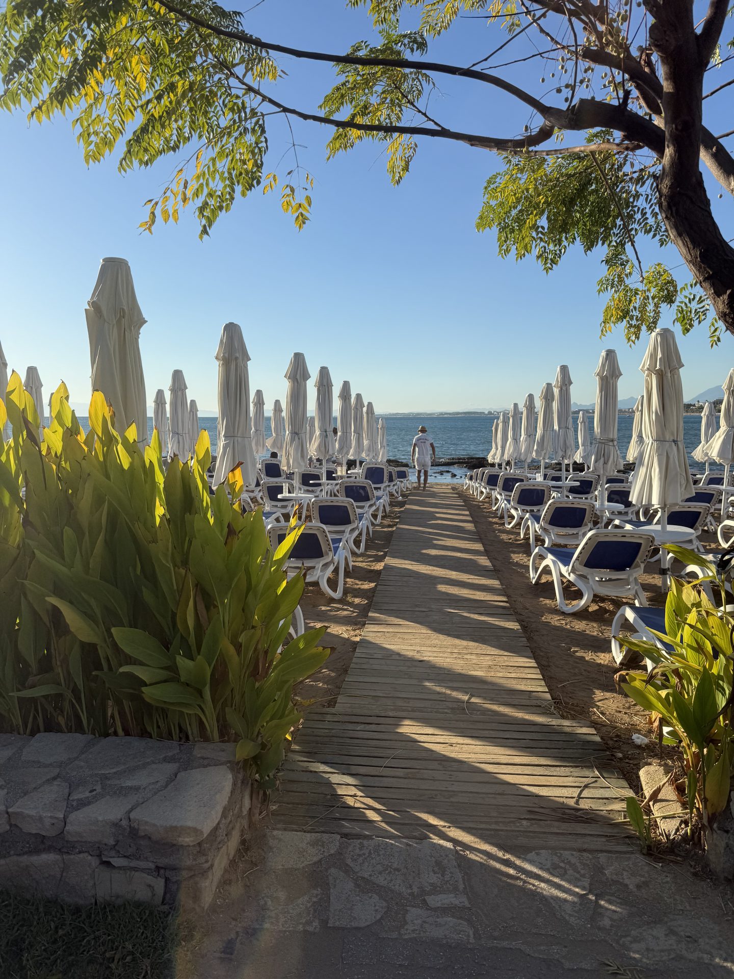 All inclusive till Side