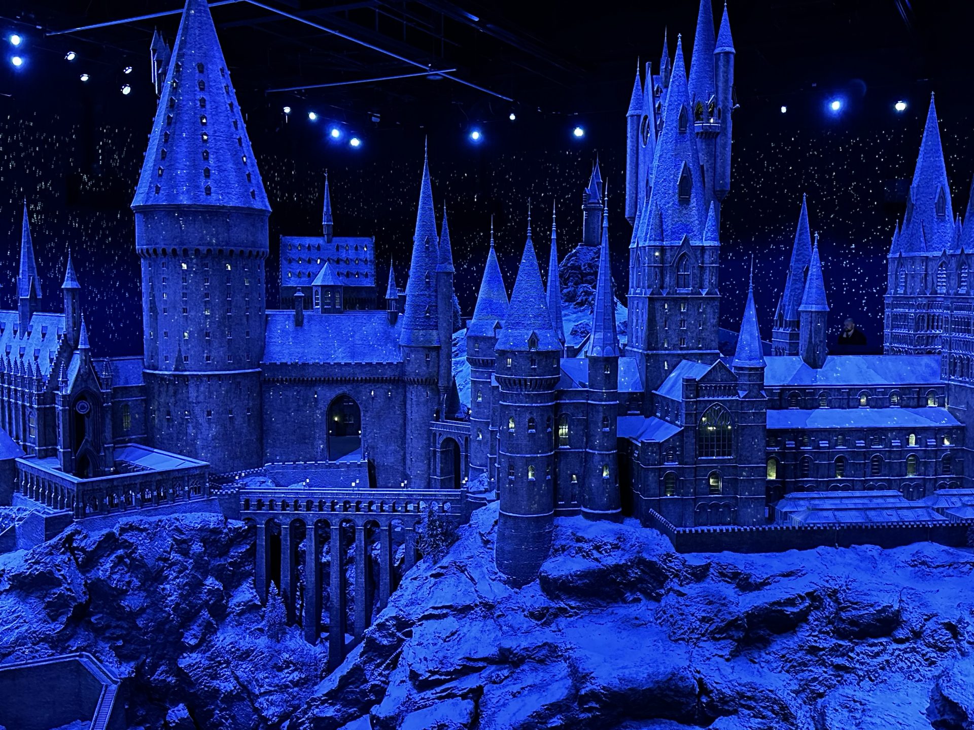 ✨ En magisk dag i Harry Potters värld! ⚡️