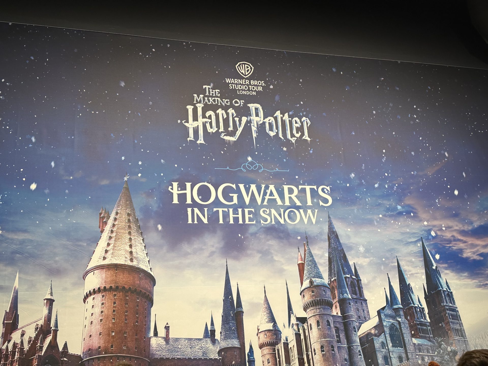 ✨ En magisk dag i Harry Potters värld! ⚡️
