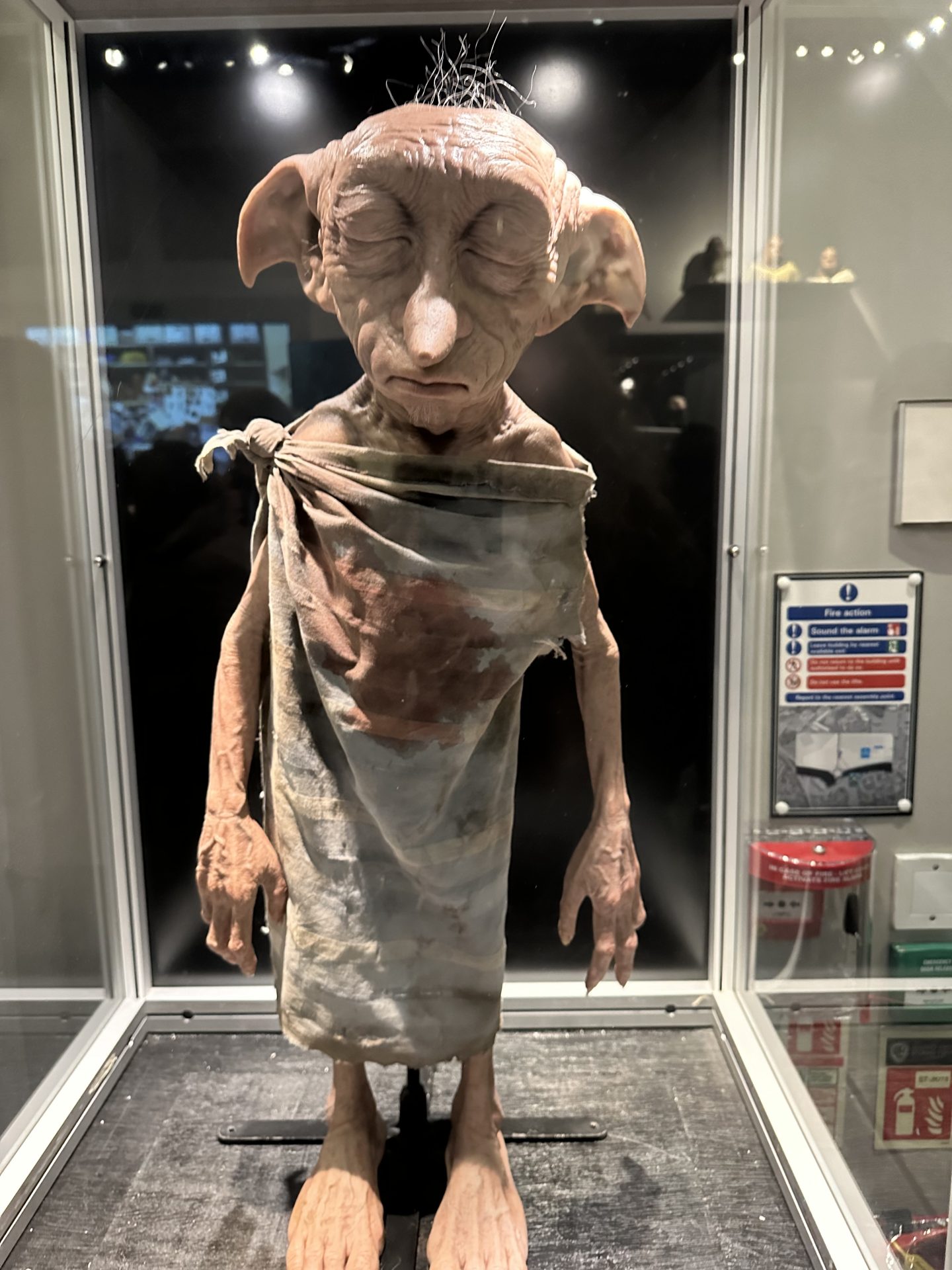 ✨ En magisk dag i Harry Potters värld! ⚡️