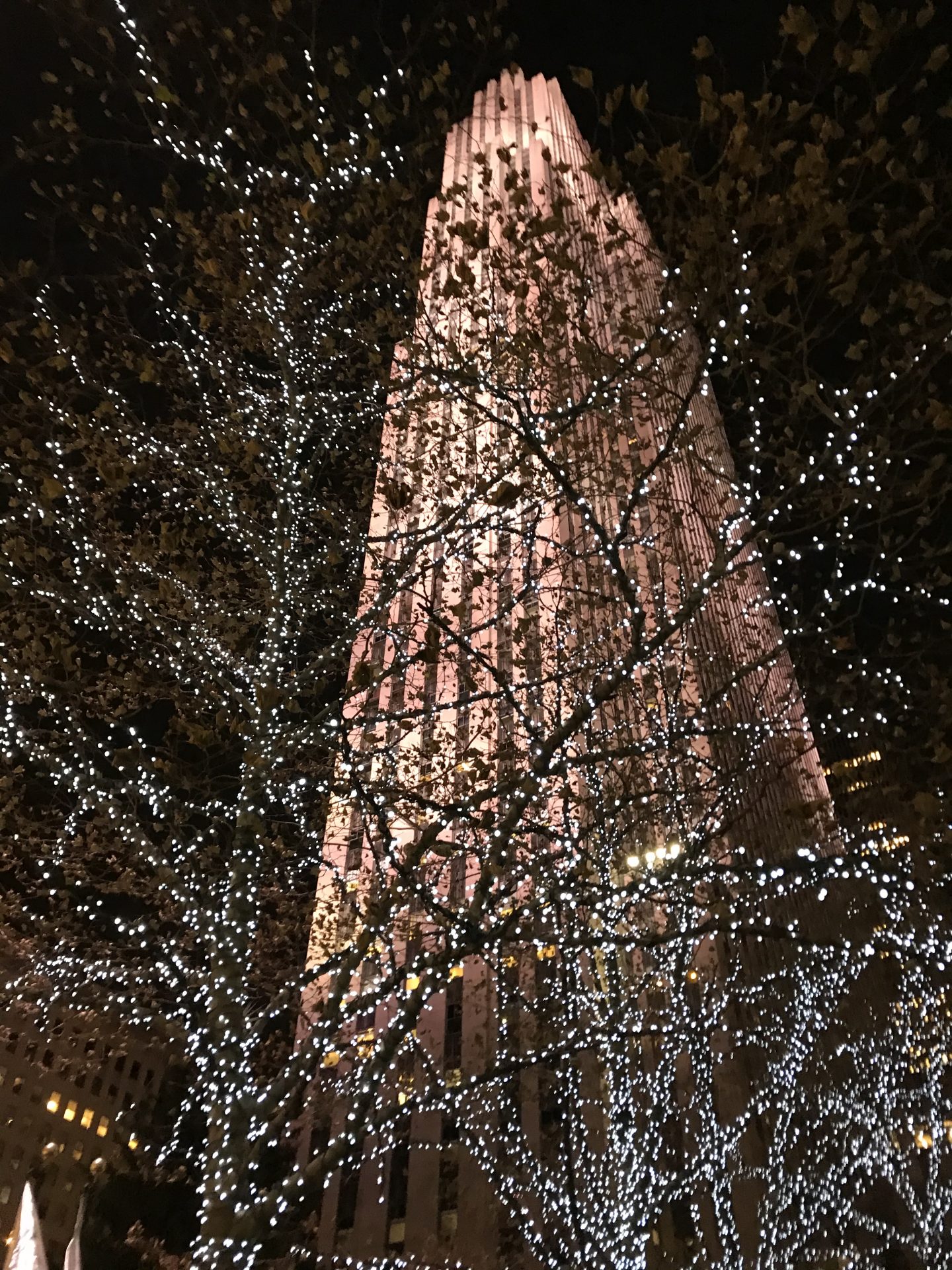 New York vid Thanksgiving.🍁🍂