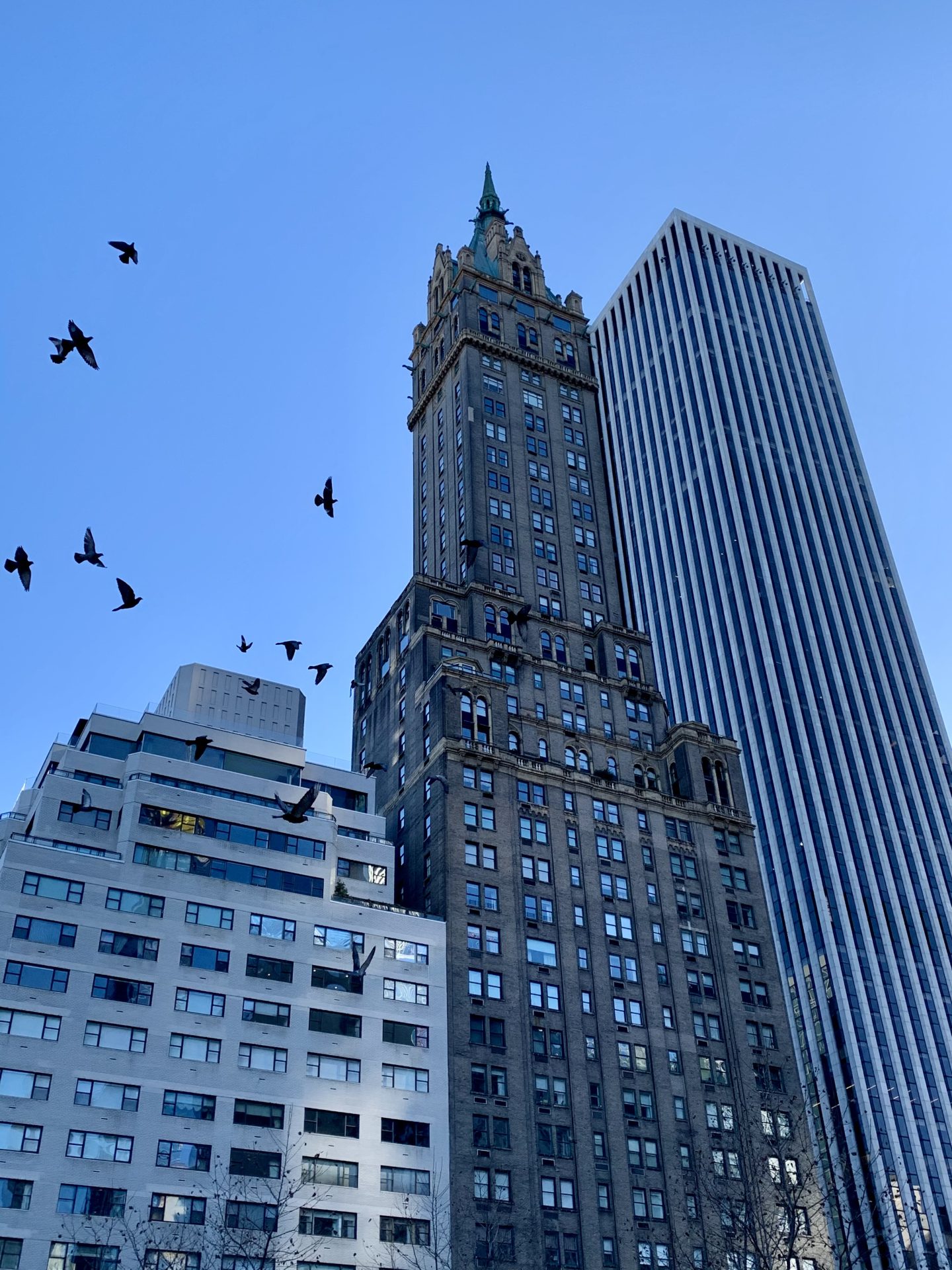 New York vid Thanksgiving.🍁🍂